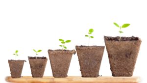 Growth Hacking – Kunden erfolgreich begeistern